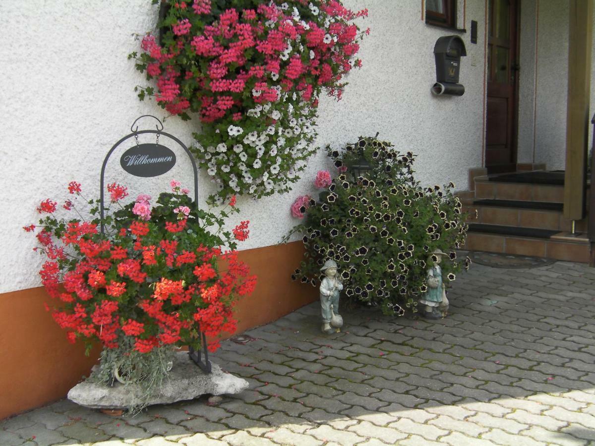 Haus Sonnenschein Appartement Goessweinstein Buitenkant foto